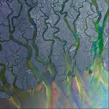An Awsome Wave - Alt-J