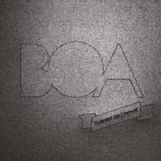 Forever and Never - BOA