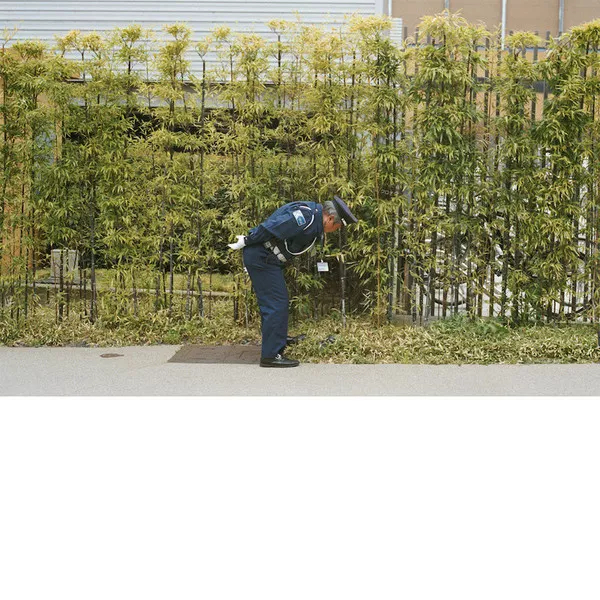 Good Luck And Do Your Best - Gold Panda