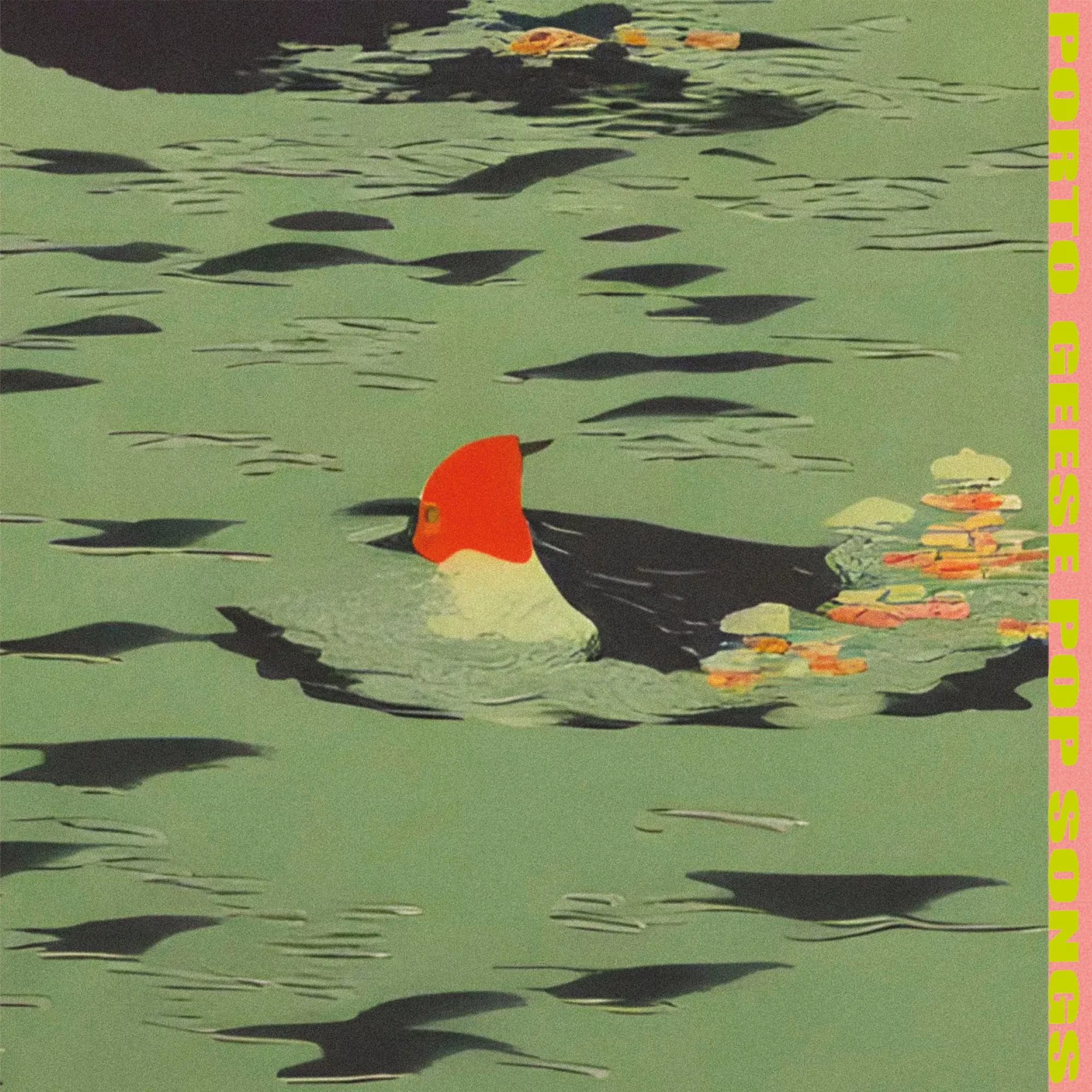 Pop songs - Porto Geese