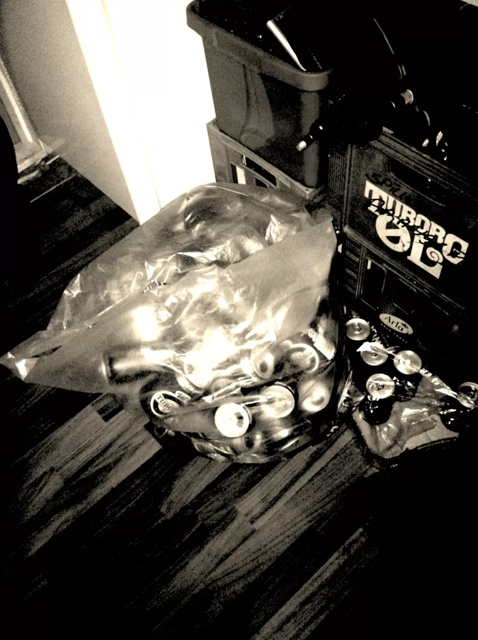 Sylvester Larsen – studiedagbog del 1