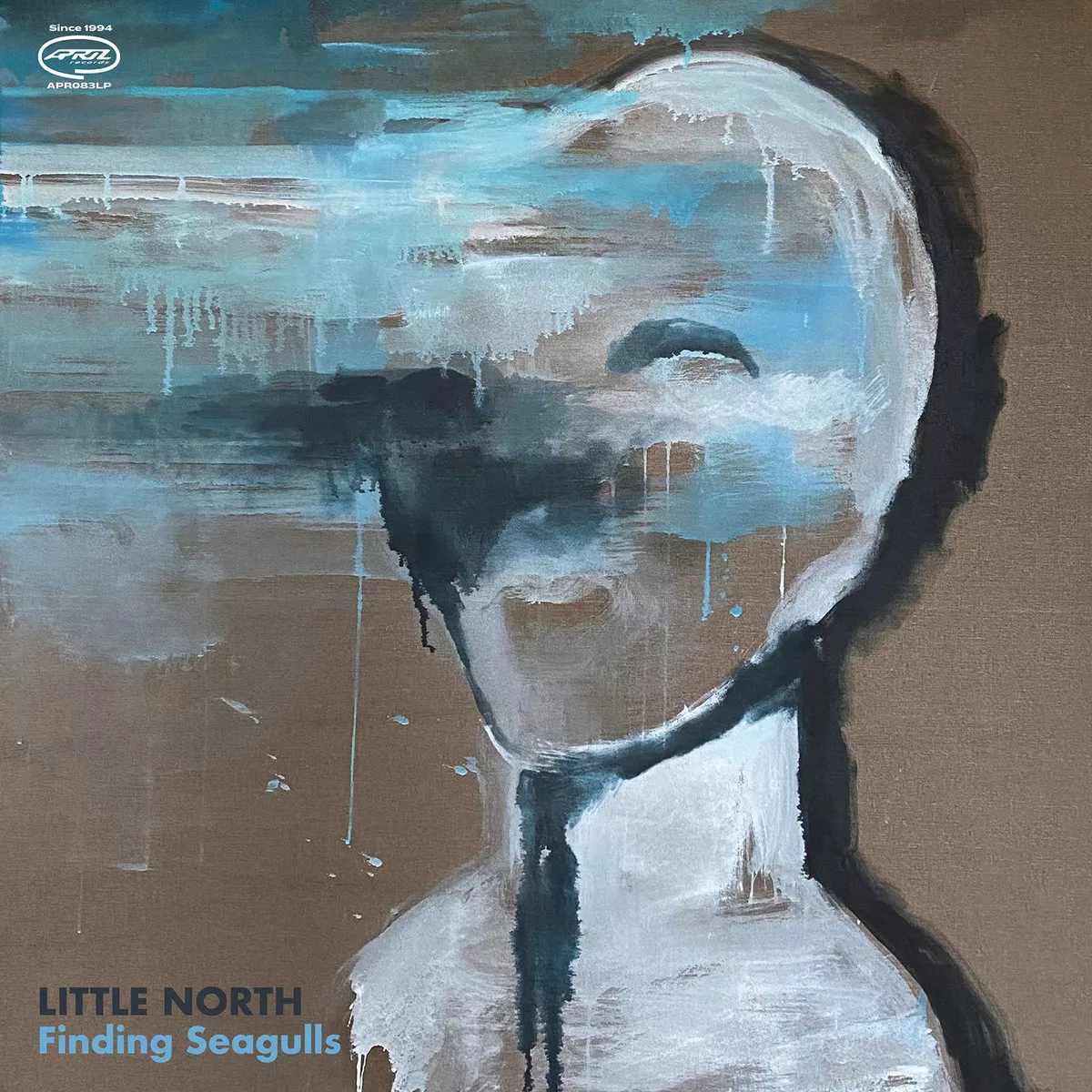 Finding Seagulls - Little North