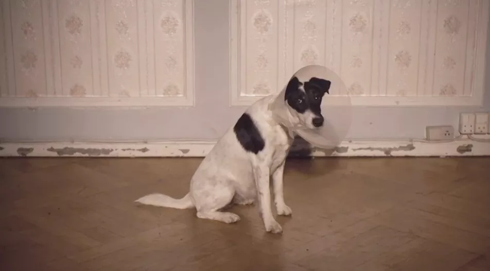 Premiere: Se ny musikvideo med Spot-aktuelle Nelson Can