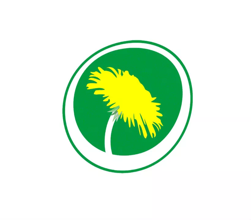 Det här lyssnar Miljöpartisten på