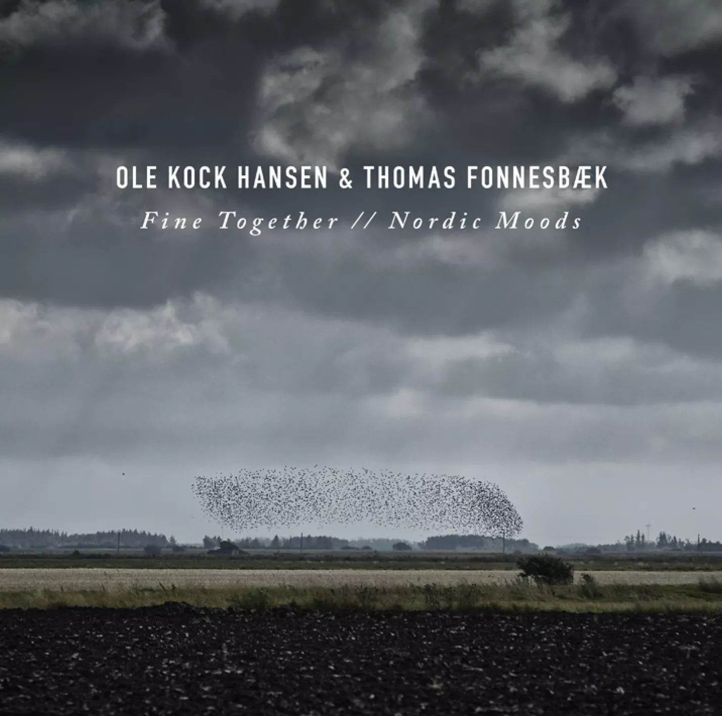 Fine Together // Nordic Moods - Ole Kock Hansen & Thomas Fonnesbæk