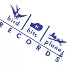 Birds Hits Plane lukker