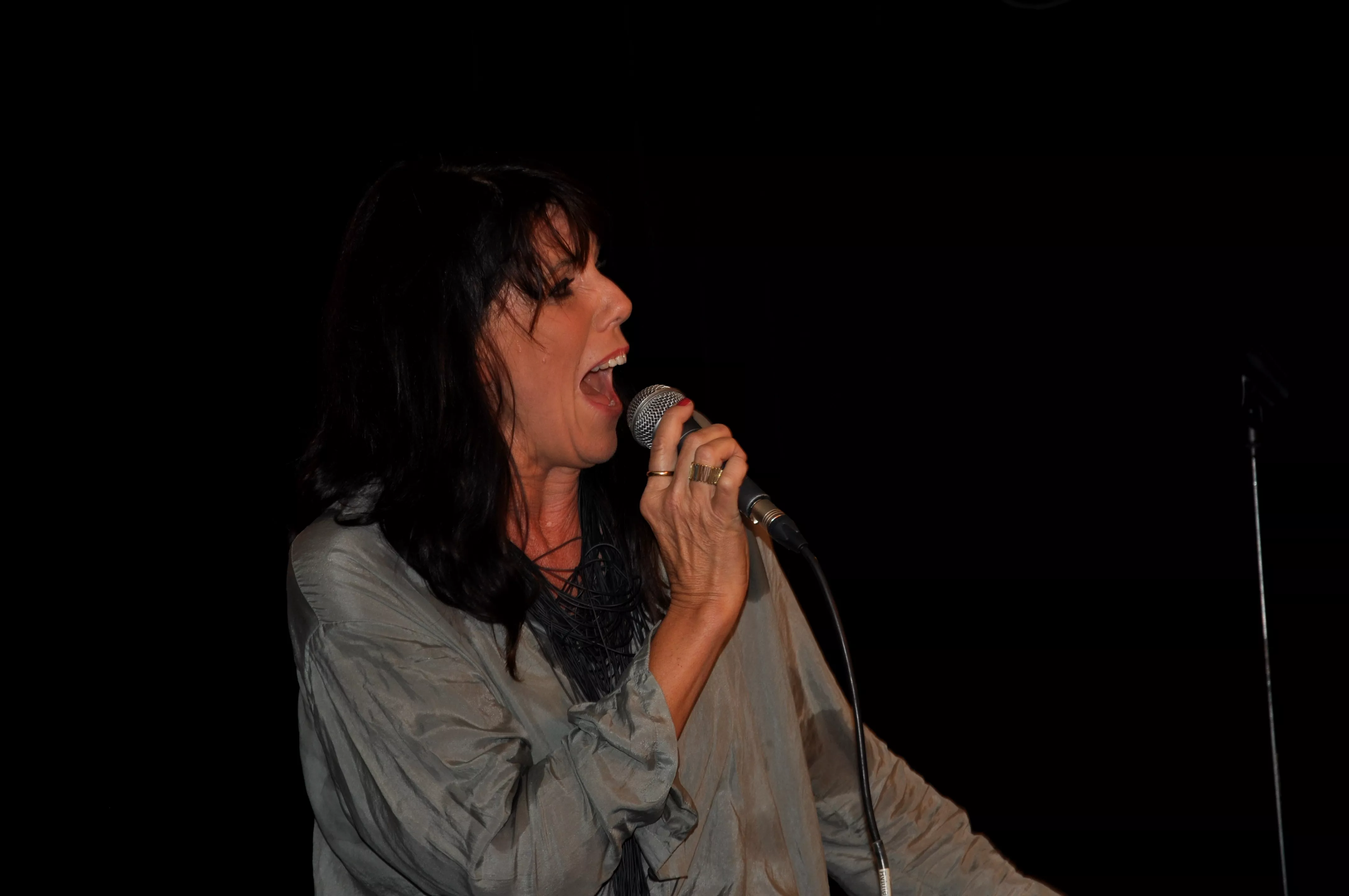 Hanne Boel: Dexter, Odense