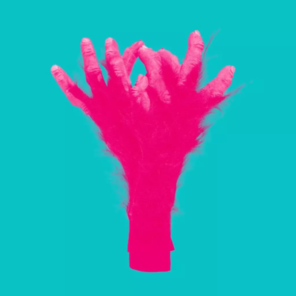 Algoality - Abekejser