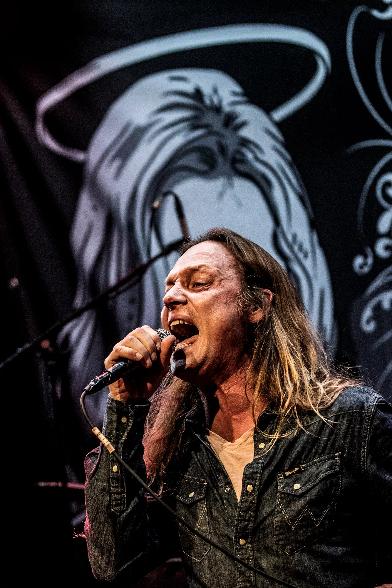 D-A-D-sanger holder forlystelsesparken åben