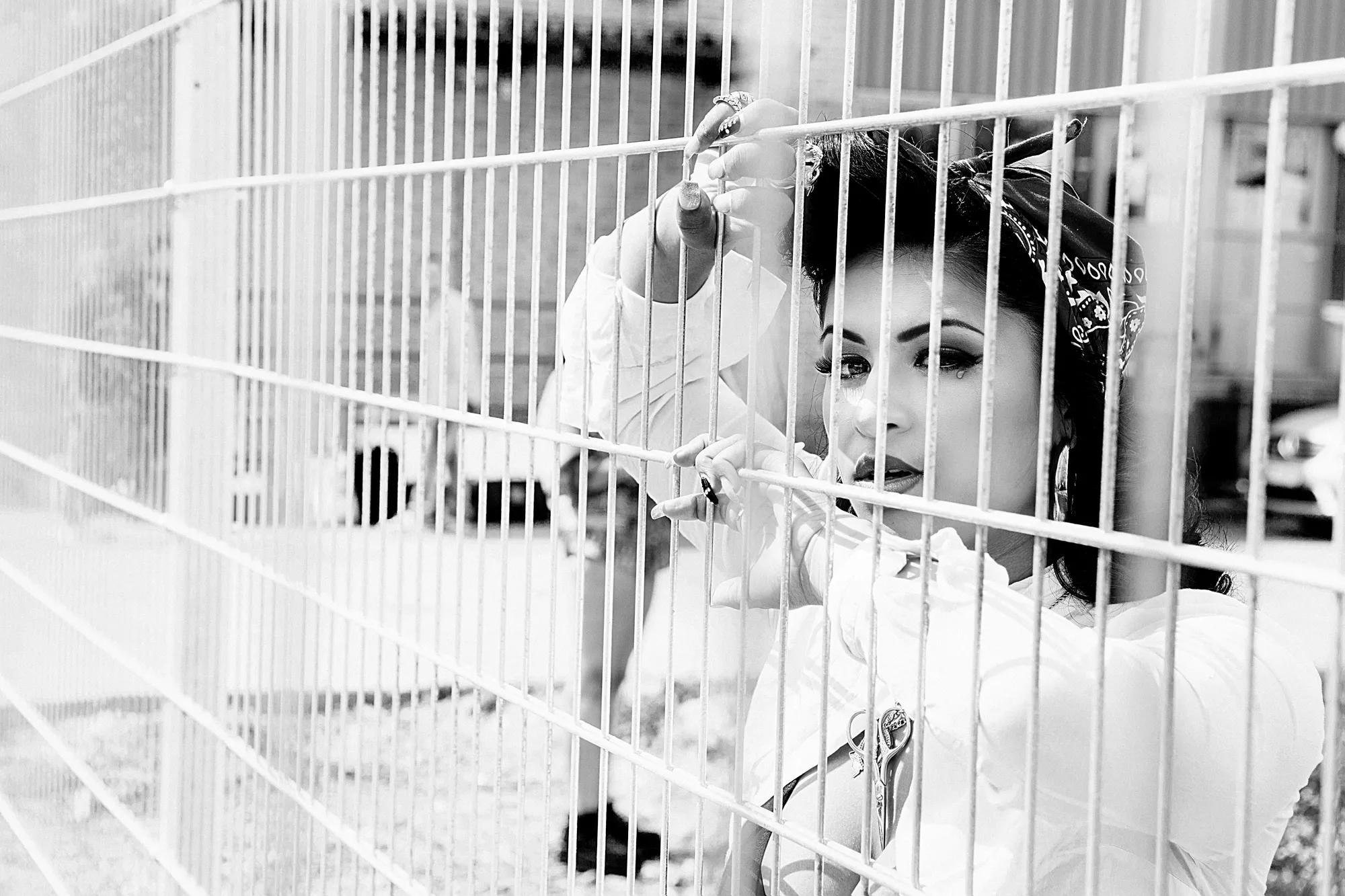 Linda Pira, Stor, The Salazar Brothers: Fasching, Stockholm