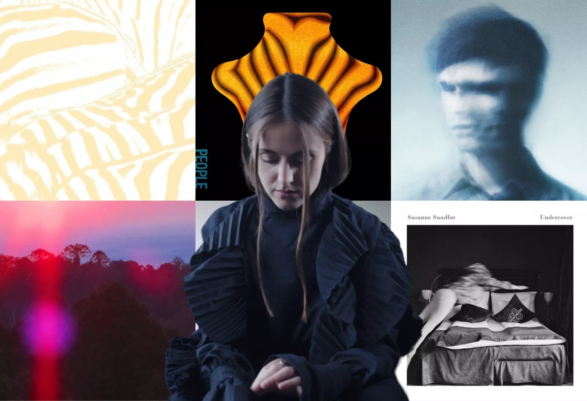 Adna om sina 5 favoritomslag – “Jag vågar inte gissa vad det föreställer”