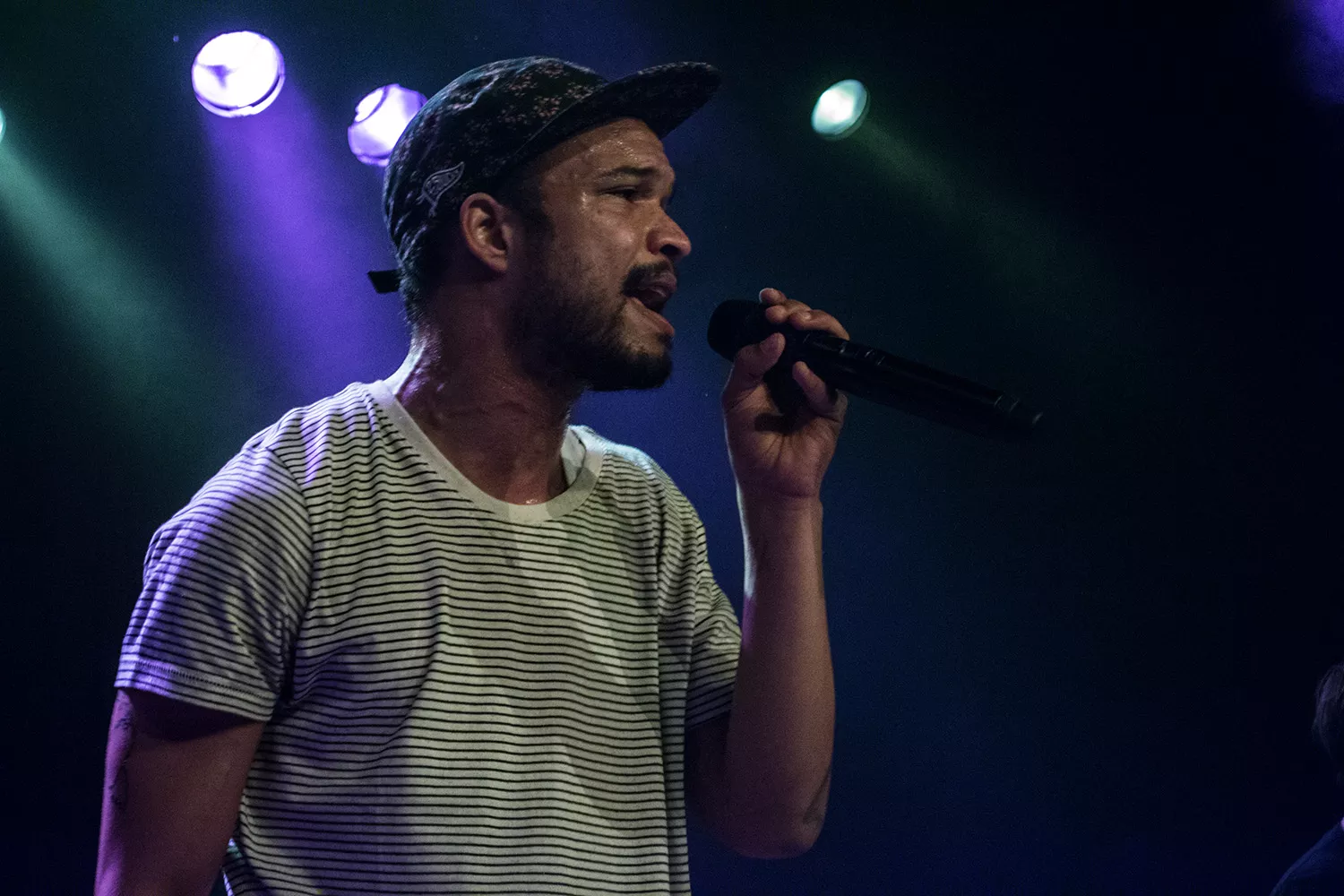 Grøn Koncert klar med endnu et navn