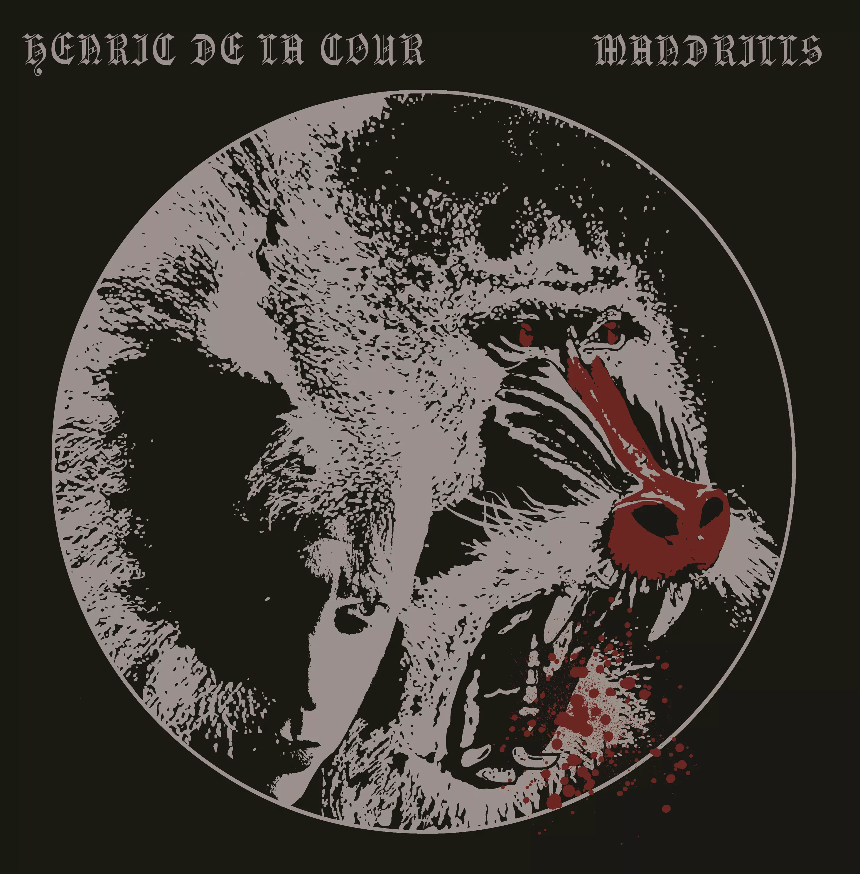 Mandrills - Henric de la Cour