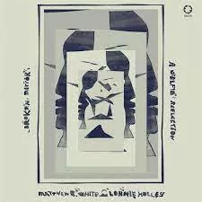 Broken Mirror: A Selfie Reflection - Matthew E. White/Lonnie Holley