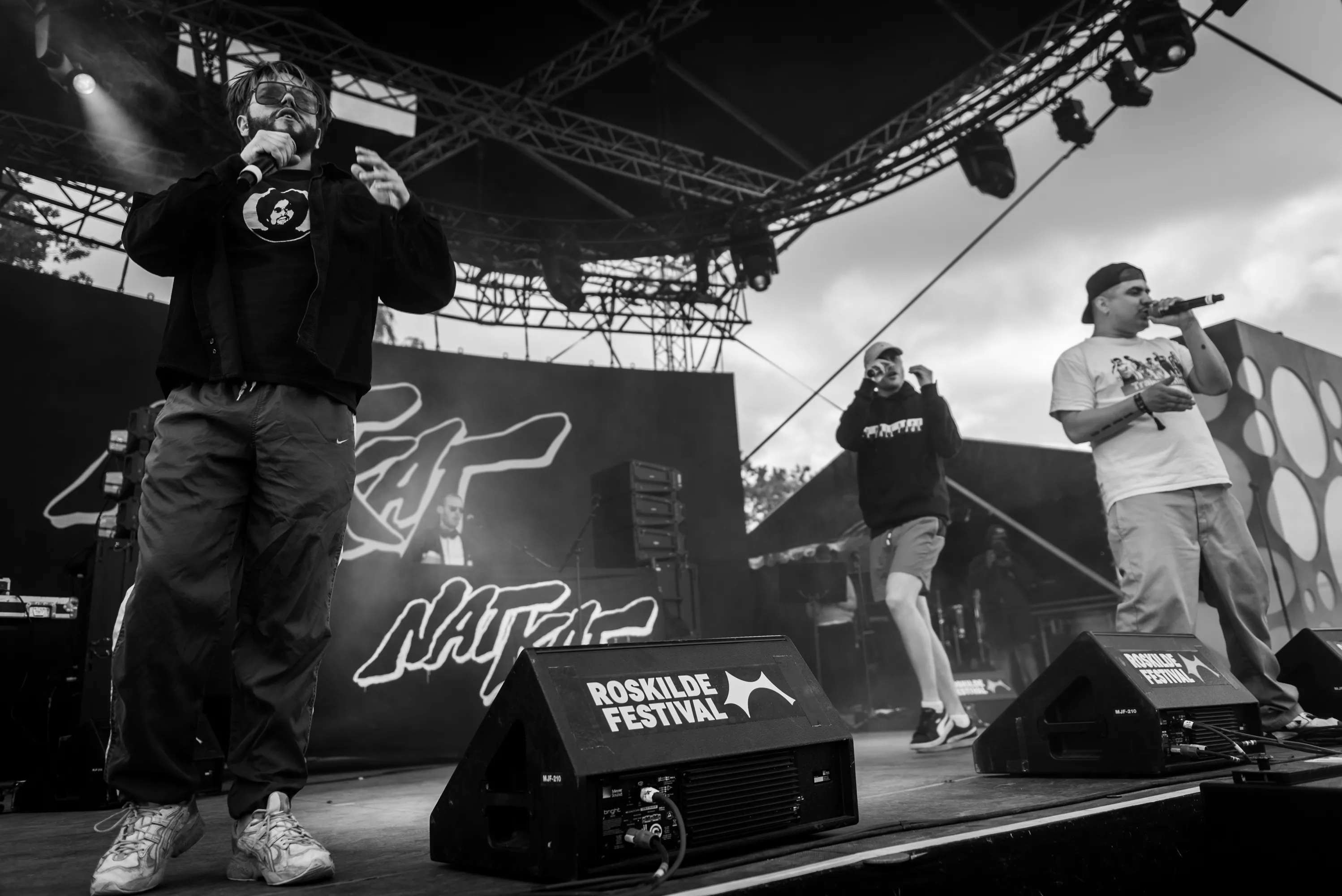 Hvem vil ikke gerne være Natkat?