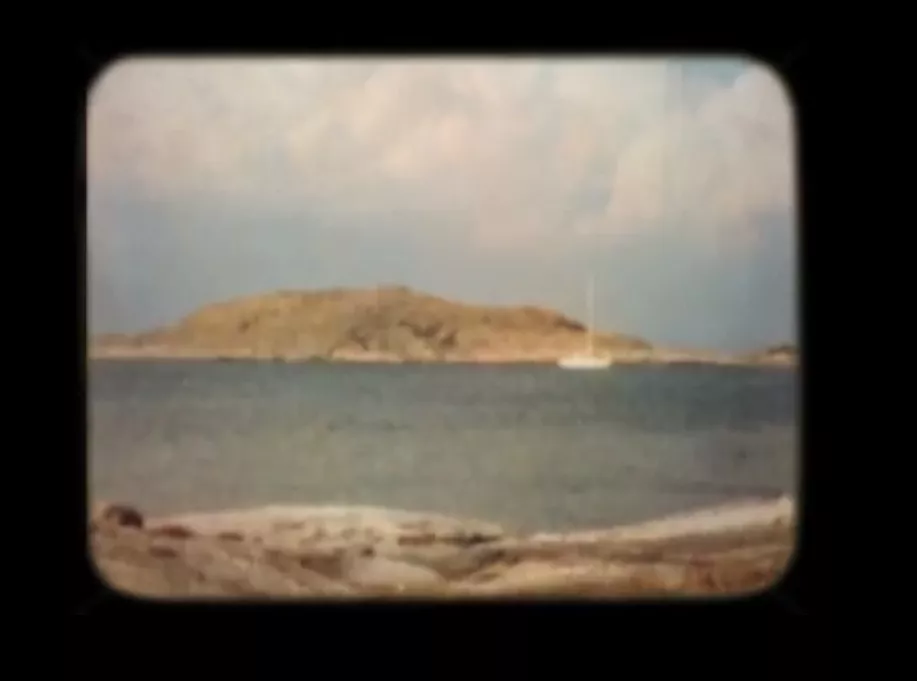 VIDEOPREMIÄR: It's A Bird! It's A Plane! – Waiting Around To Die