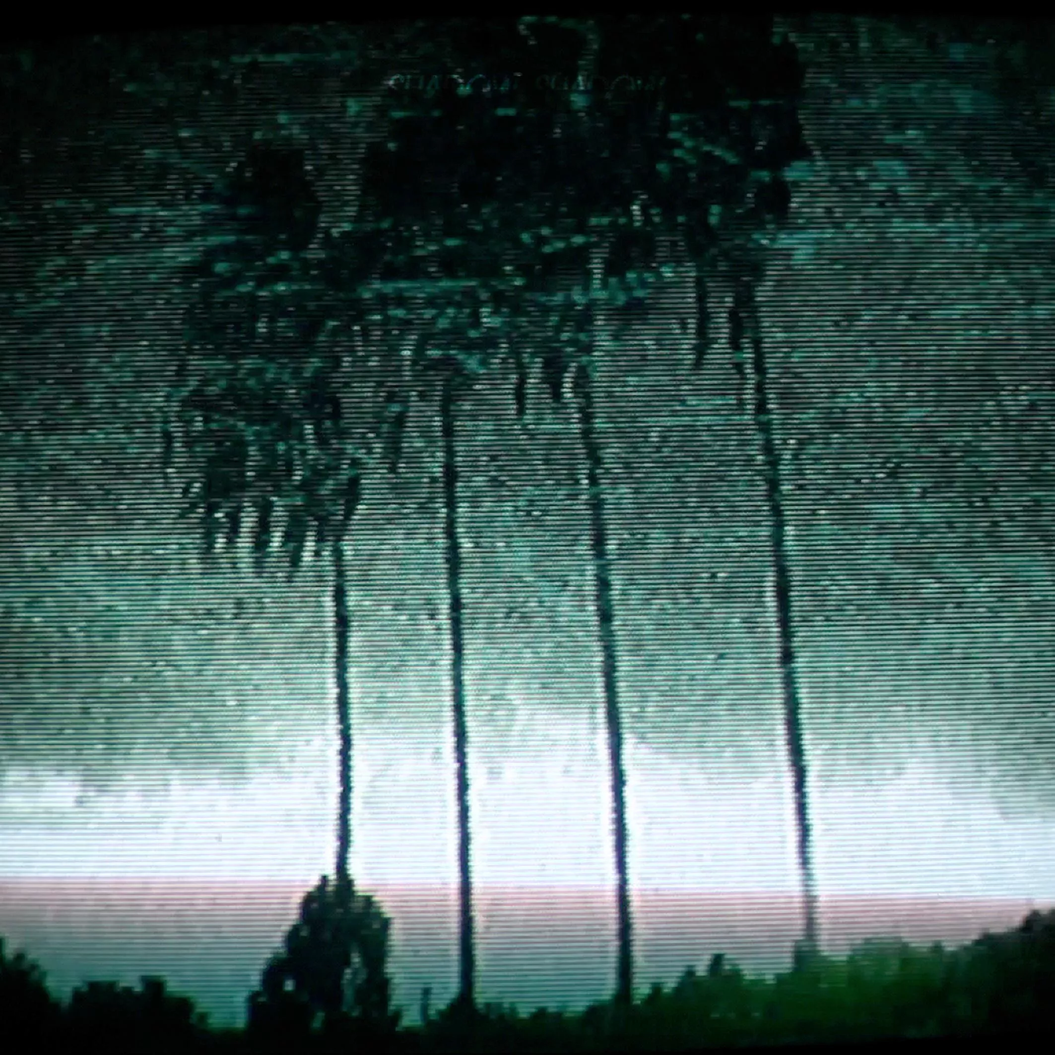 LÅT FÖR LÅT: Shadow Shadow - Riviera