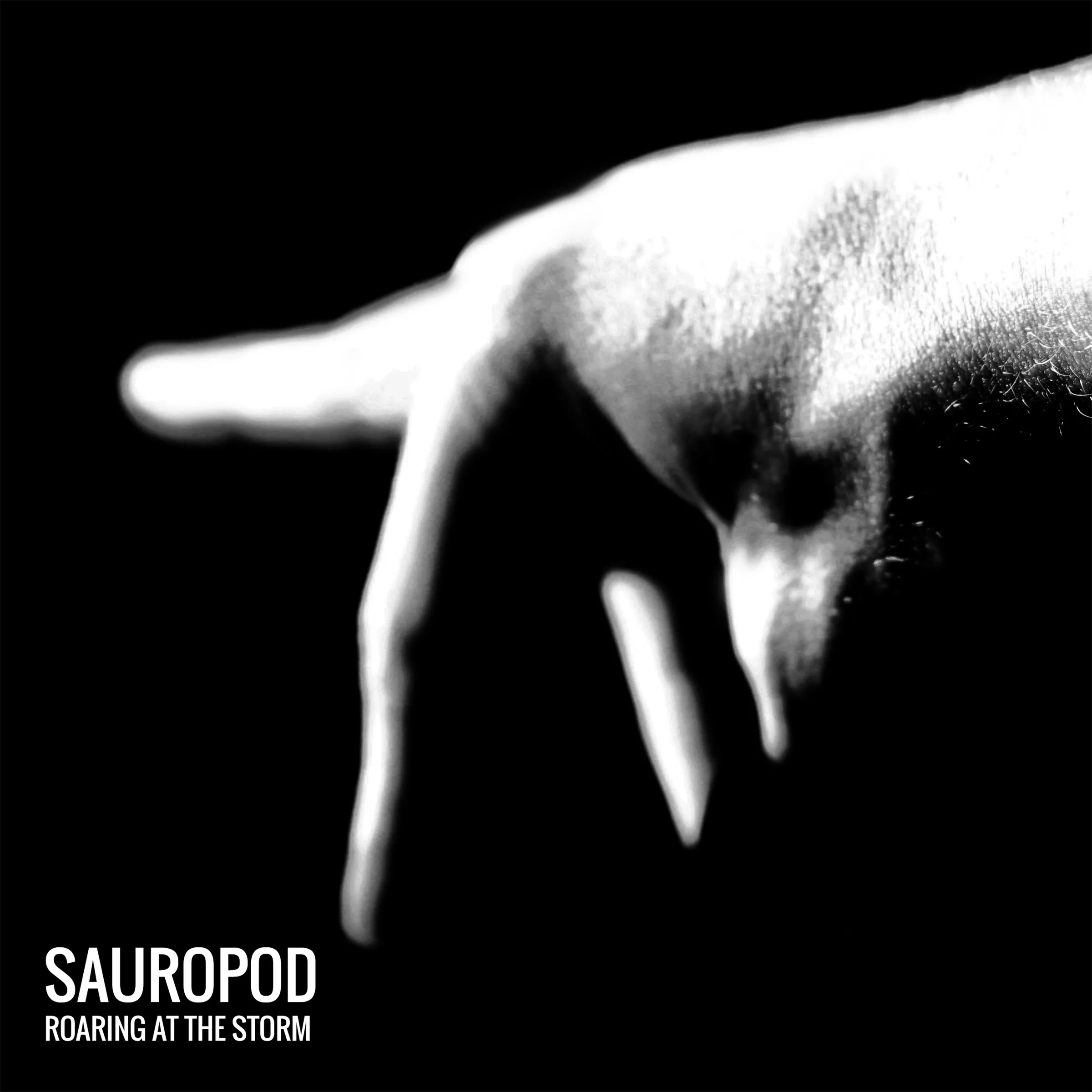Roaring At The Storm - Sauropod