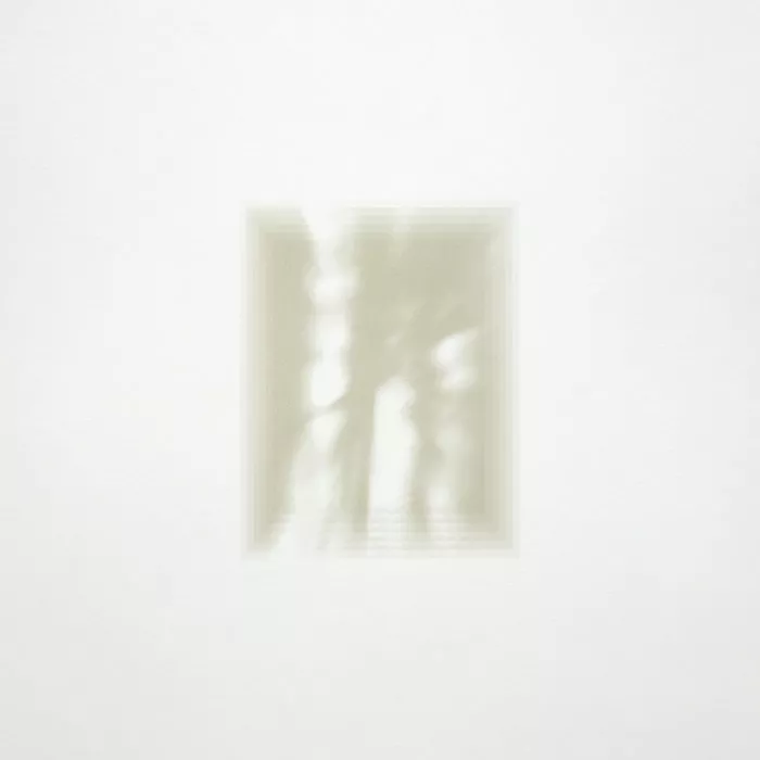 Forgiveness Is Yours - Fat White Family