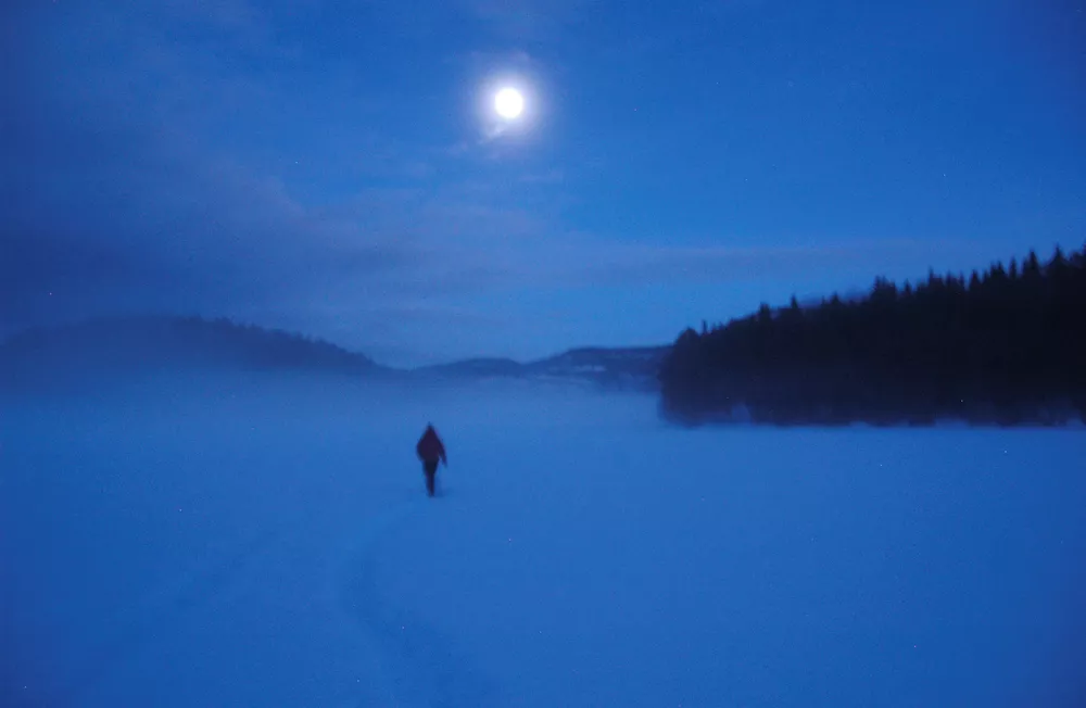 Alternativ Julekalender, luke #21 (bonus): Sigurd Julius 