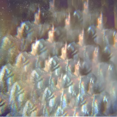 Into The Diamond Sun - Stealing Sheep