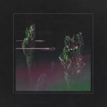 Rock'n'Roll Baby - Wolfmother