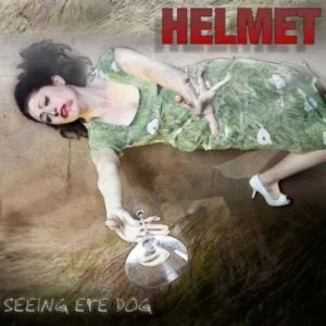 Seeing Eye Dog - Helmet