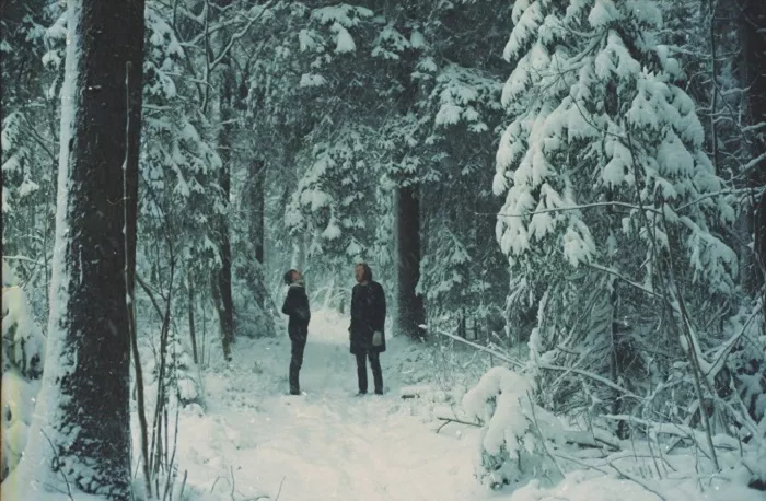 Att i skogen se något du inte kan förklara