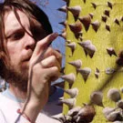 Amerikansk alt.folk-ener besøger Danmark