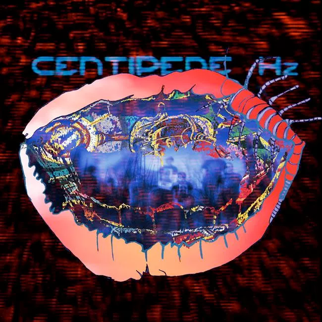 Stream det nye Animal Collective-album