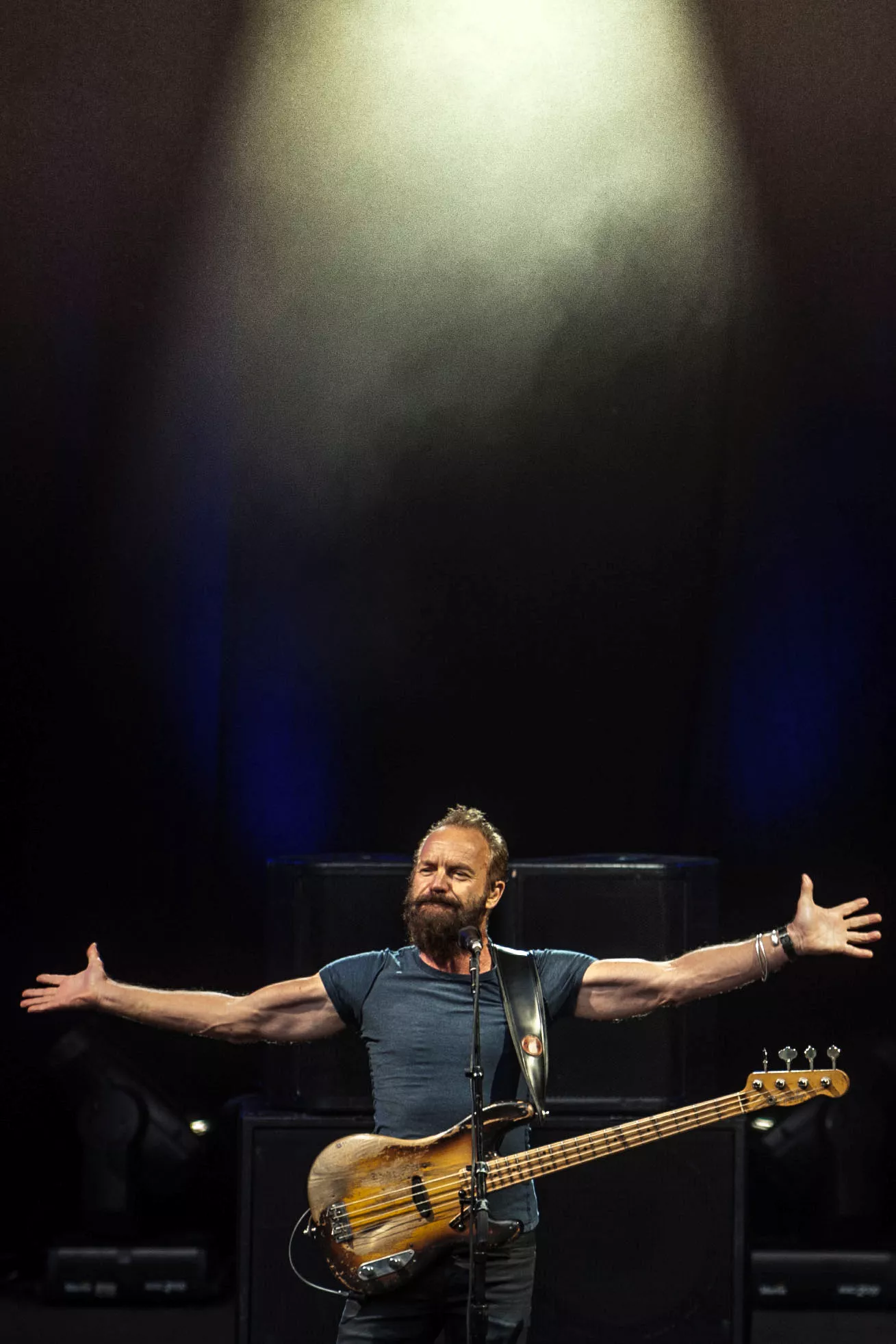 Sting: Skovdalen, Aalborg