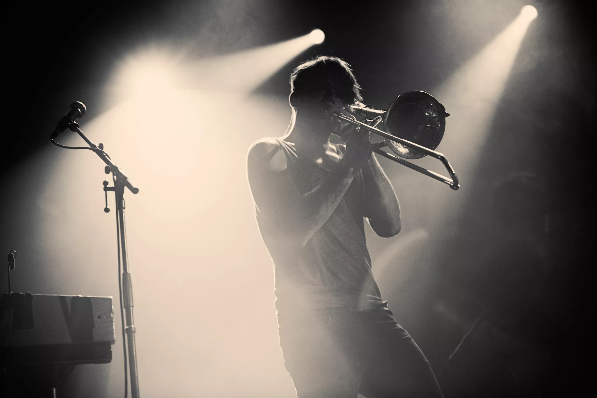 Cool cats i whiskeycirkus