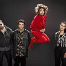 Guillemots udgiver toer