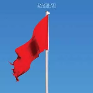 In the Midst of This - Expatriate