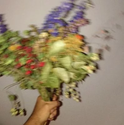 Forevigt - Hans Phillip