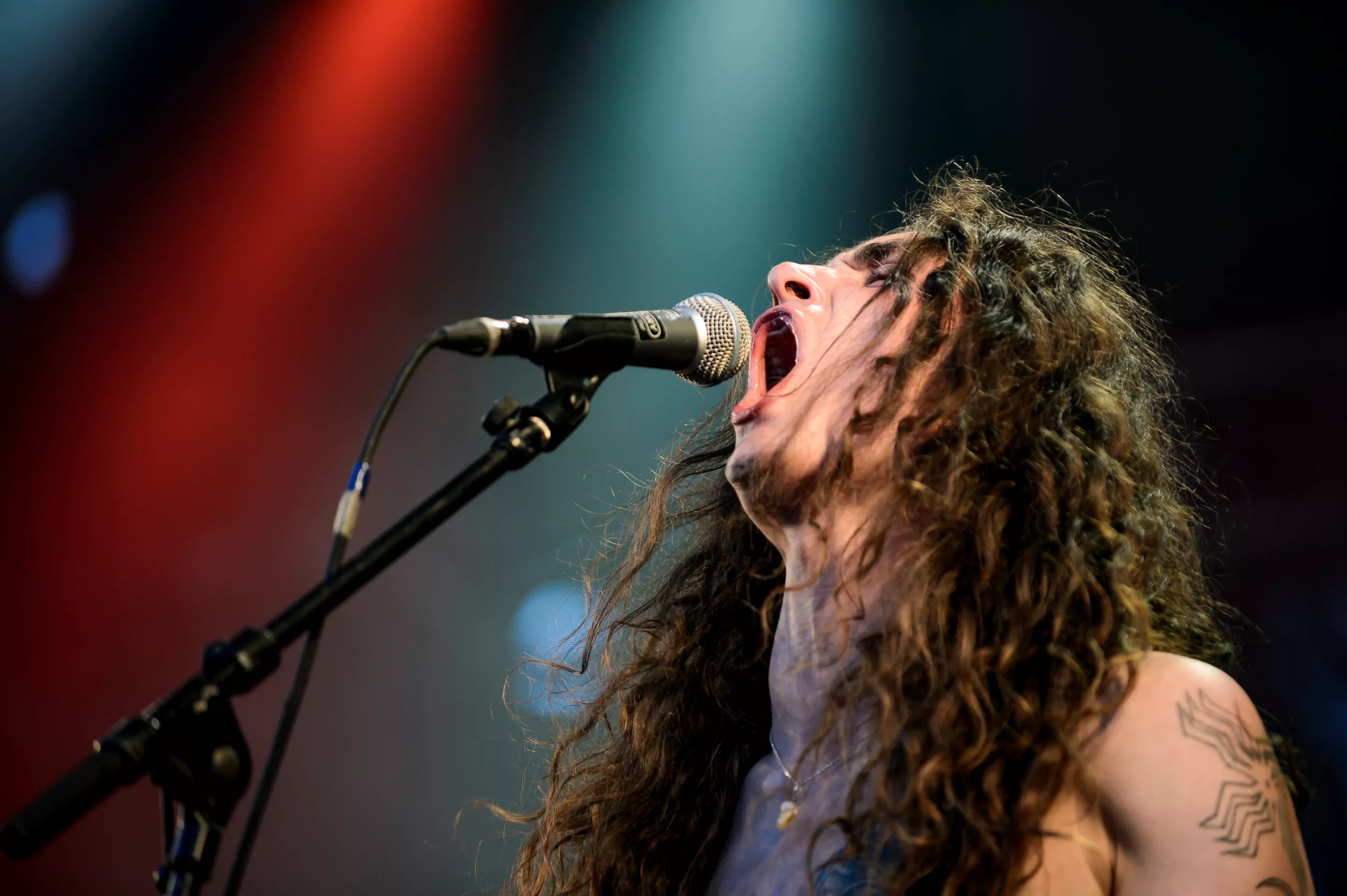 Sort slægtsforskning