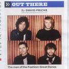 David Fricke roser The Fashion