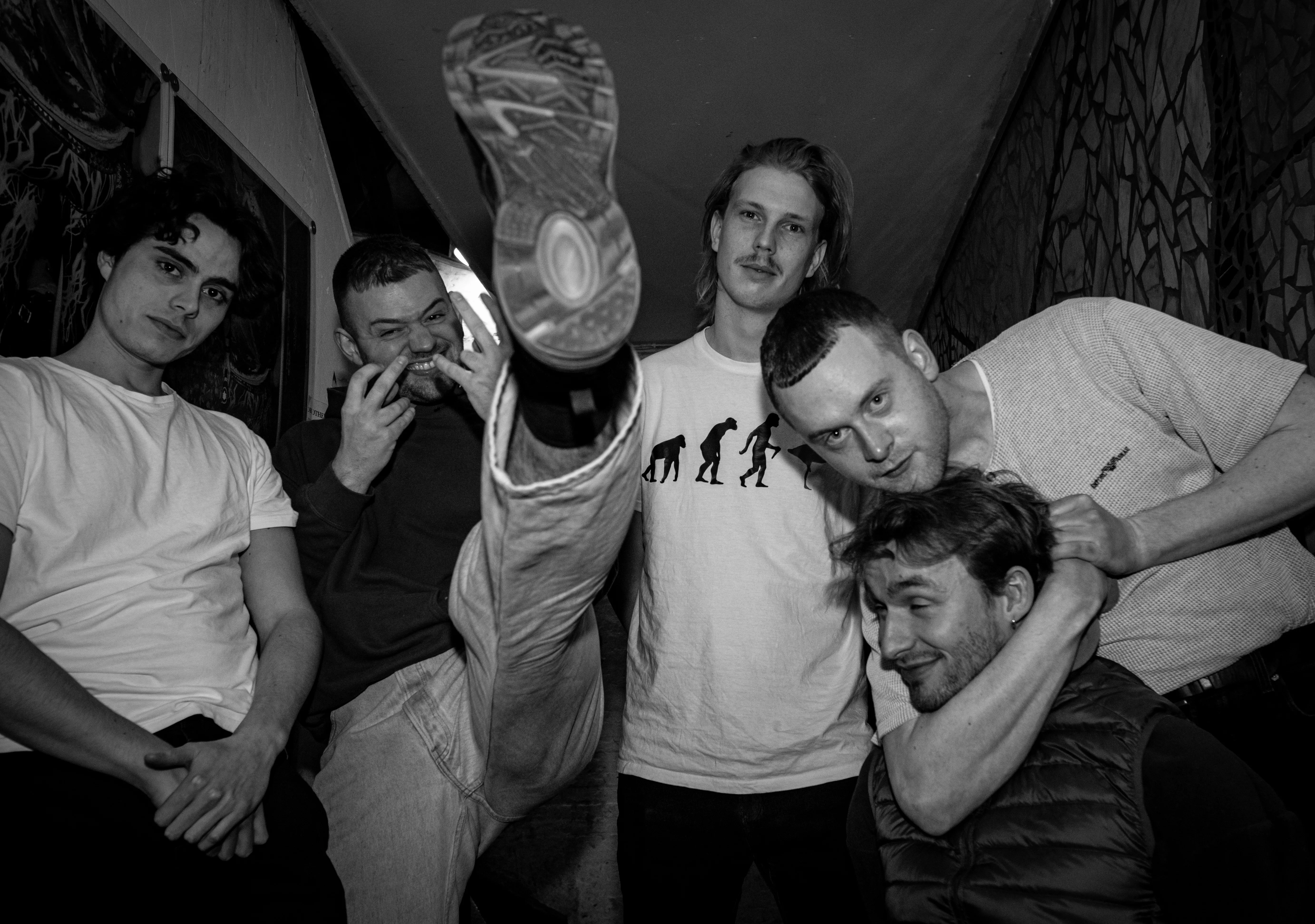 Eksperimenterende løvebørn