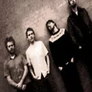 Sterling på Crunchy Frog