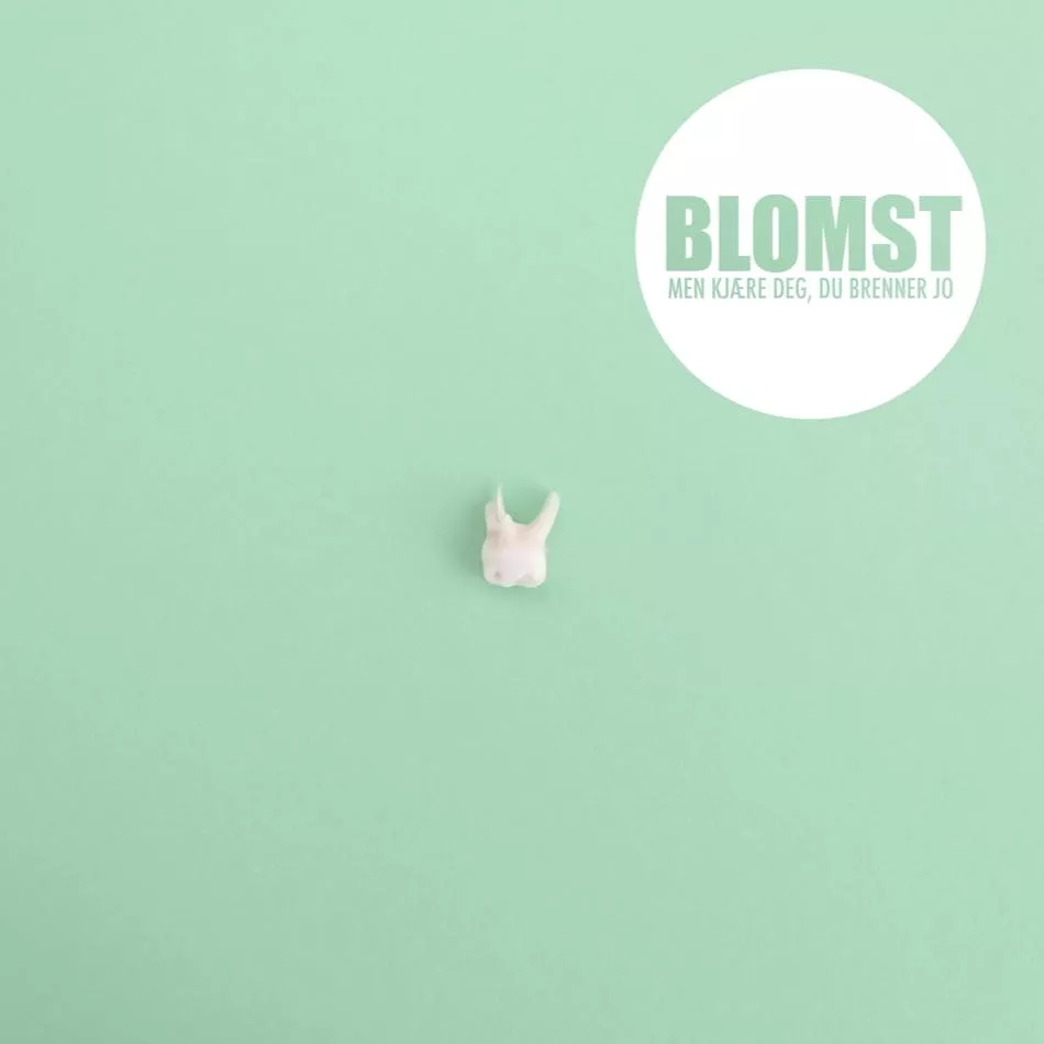 Blomst - Blomst