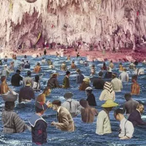 Point of Go - Jonquil