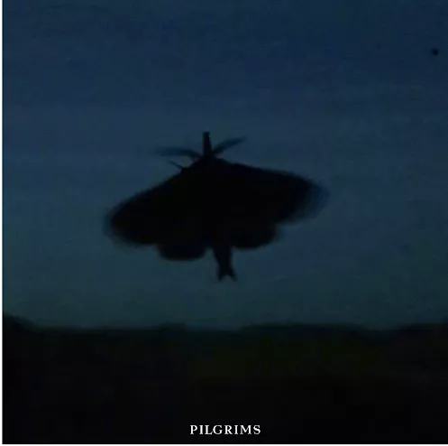 Pilgrims - CS Nielsen