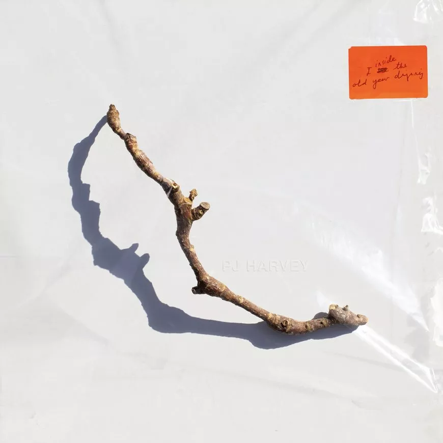 I Inside The Old Year Dying - PJ Harvey