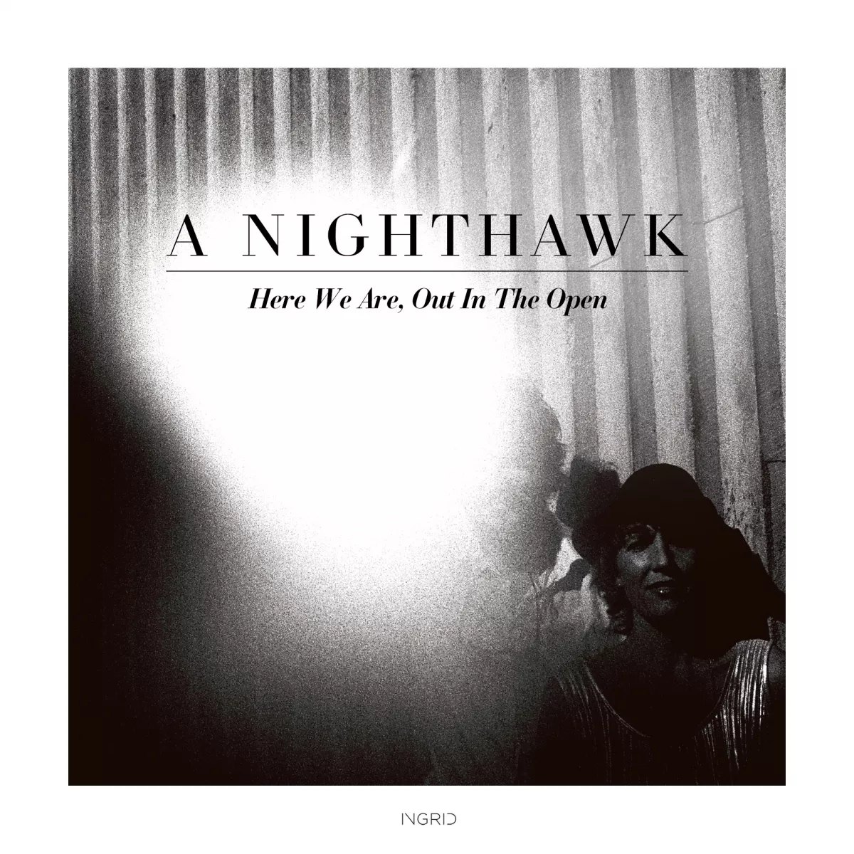 Here We Are, Out In The Open - A Nighthawk