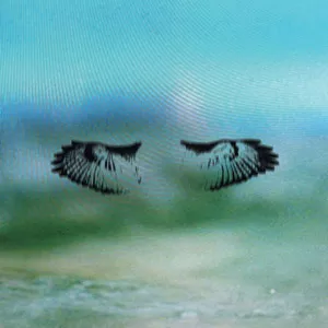 Miles Of Mad Water - Shoes And Socks Off