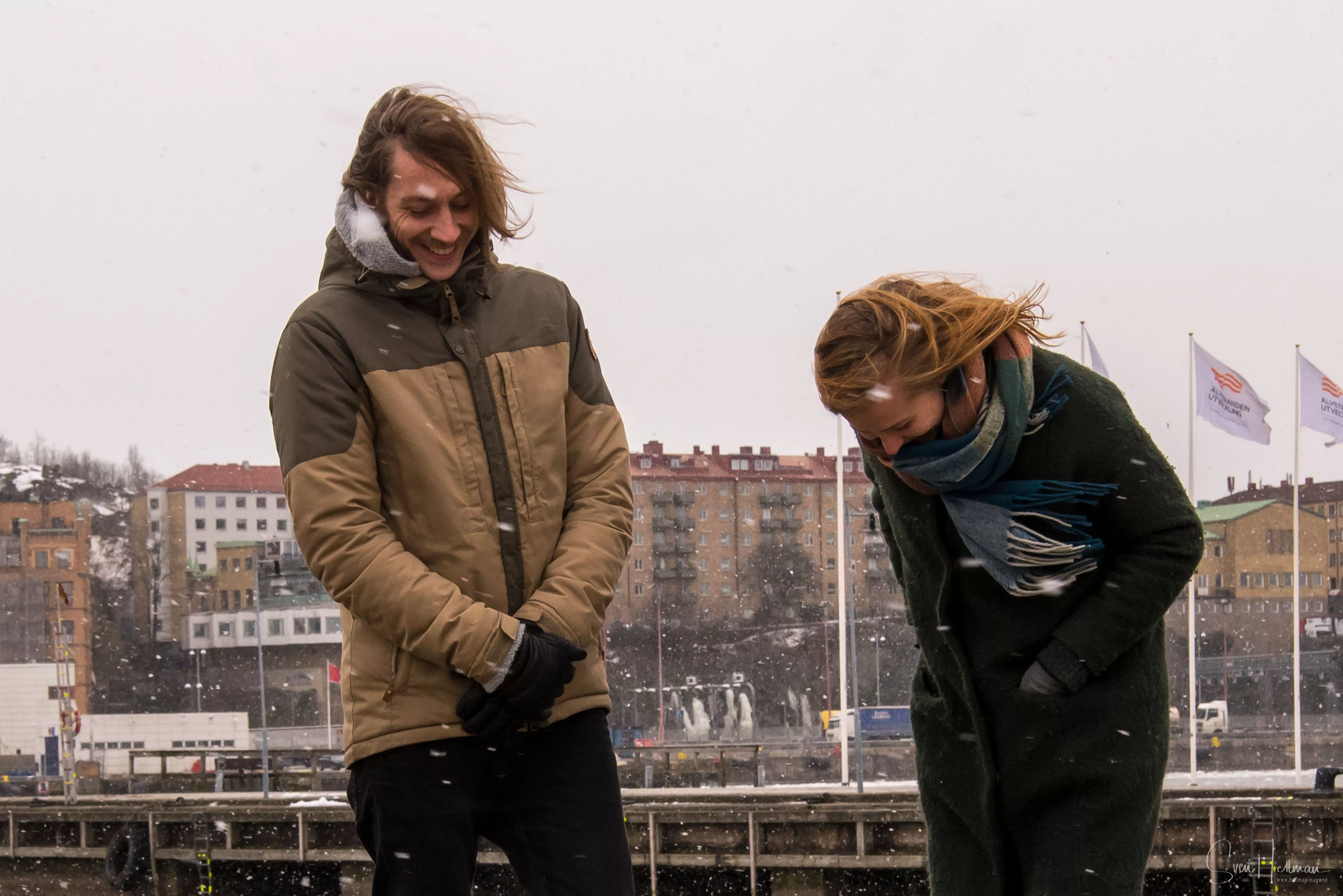 Folkindie i ett land av hundar och havsdjur