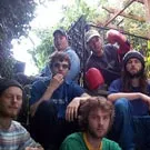 The Be…The Beatles… nå nej...The Bees