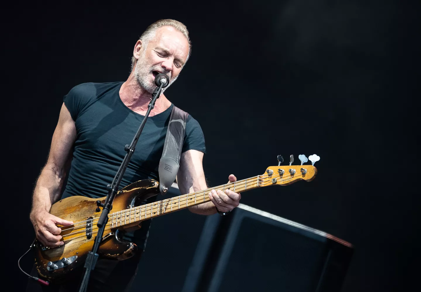 The Bridge er alt, hvad man kunne drømme om af et nyt Sting-album