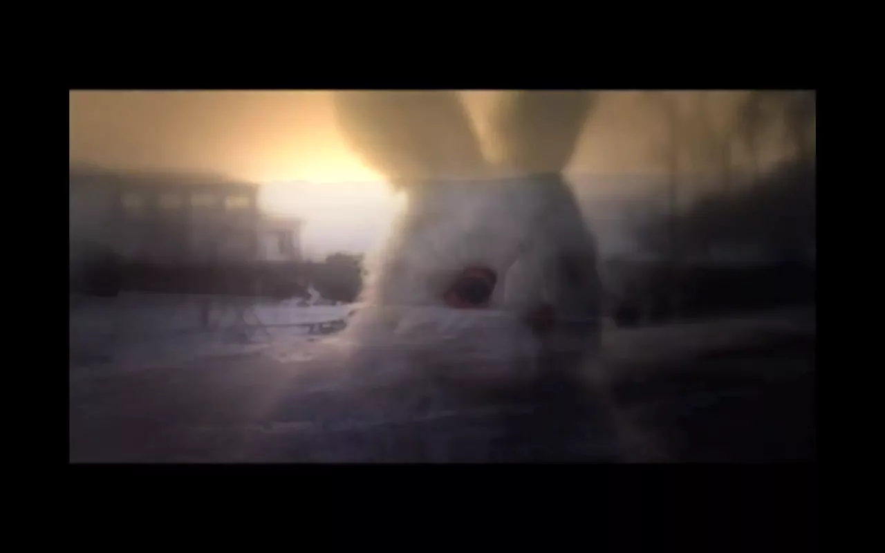 The Megaphonic Thrift med ny video