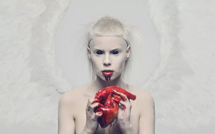 Die Antwoord på vej med toer